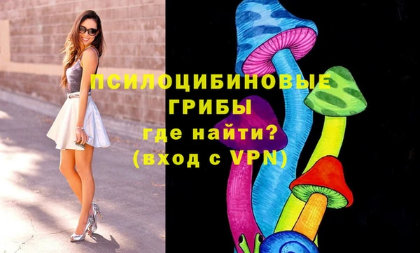 молекула духа Балабаново