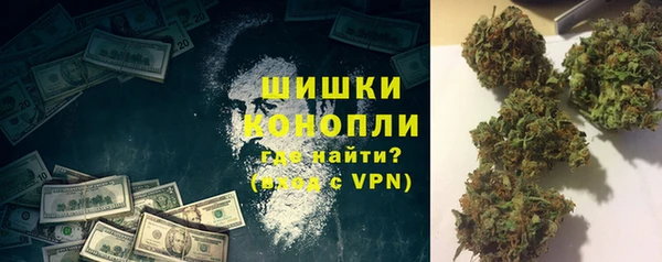 молекула духа Балахна