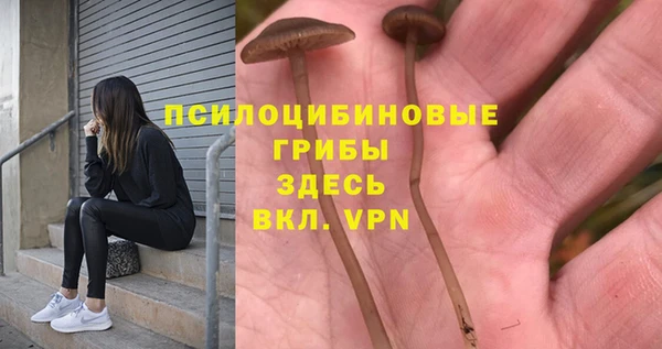 молекула духа Балабаново